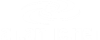 atlantic.net mini logo White Transparent